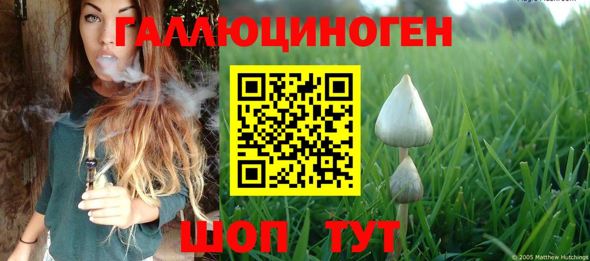 Псилоцибиновые грибы Psilocybe Лабытнанги
